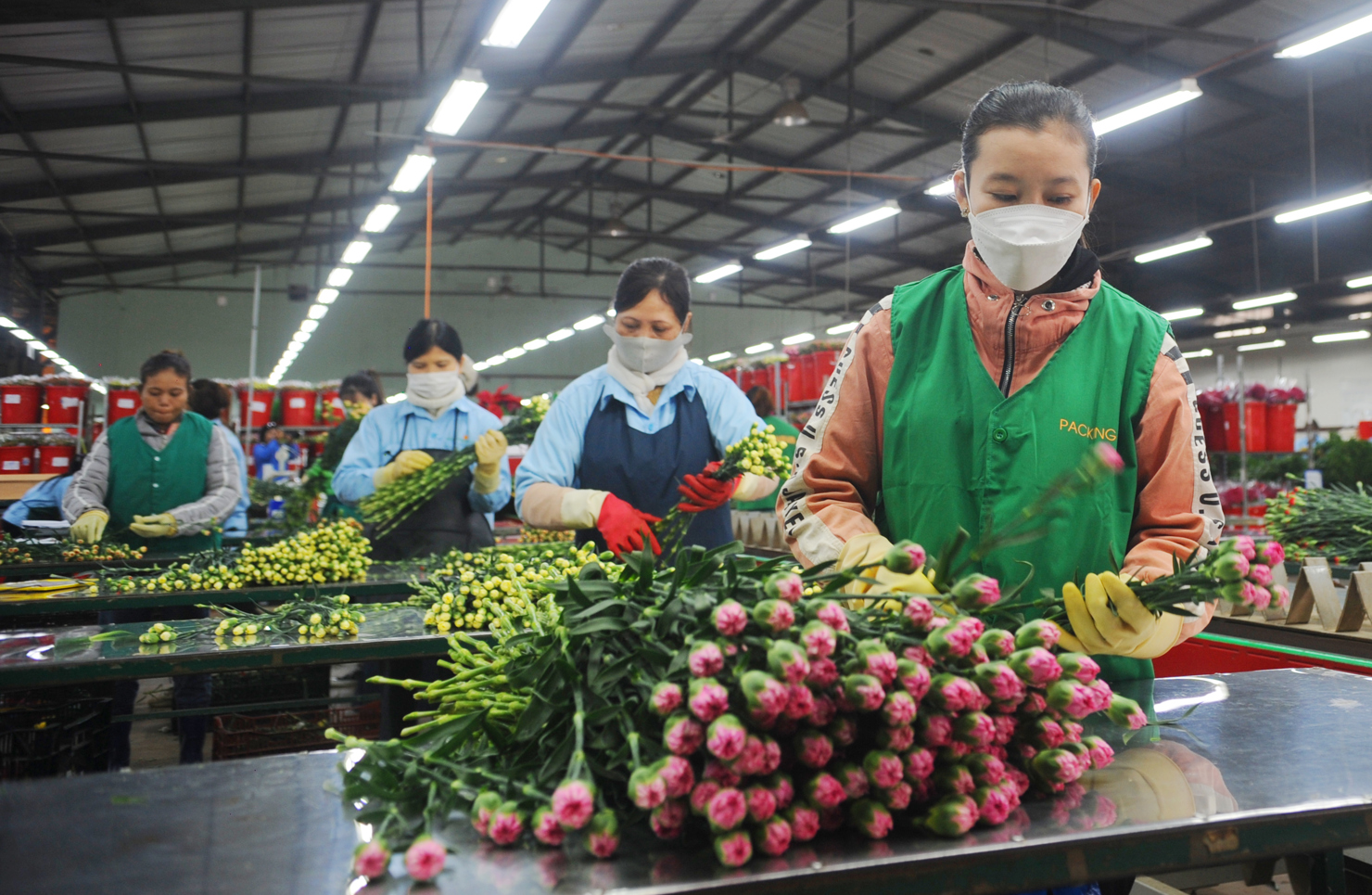 flower exportation vietnam